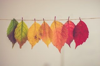 Alimenti stagionali quando e perché mangiarli 6 autunno