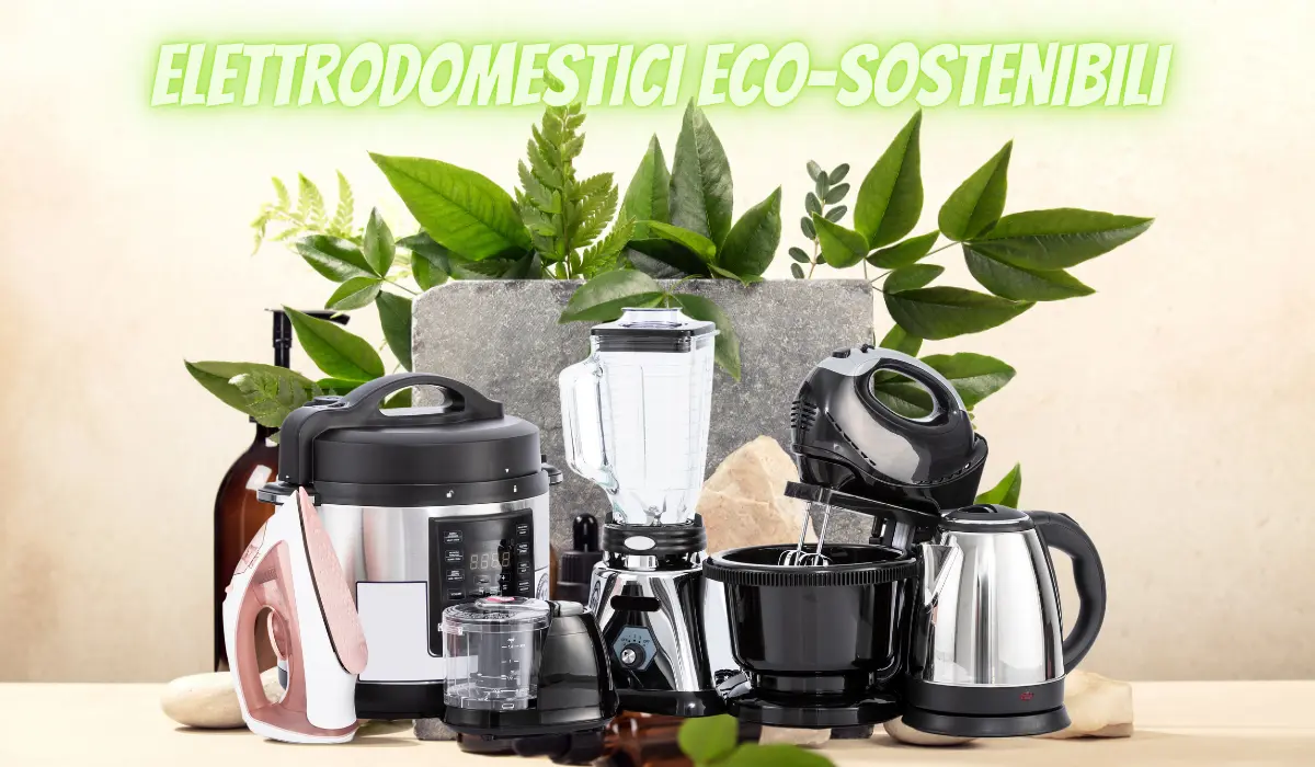 Elettrodomestici Eco-sostenibili